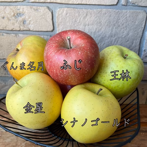 [説明必読] 好きが見つかる？　旬のりんご5種食べくらべセット