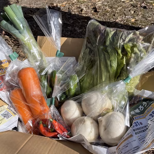 秋の旬野菜あれこれBOX(個包装)