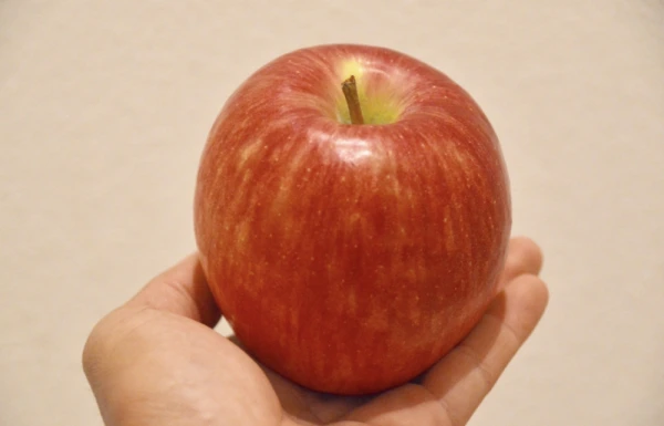 【先行予約】シナノドルチェ 甘酸適和な信州りんご 家庭用