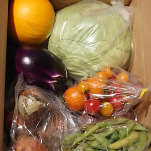 畑から直送‼️ あれこれ楽しい✨Herb & Dreamsの夏野菜セット‼️