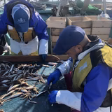 栗山尚幸 | 海鮮居酒屋CHANKO長