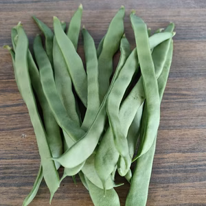 シャキシャキのひらさやいんげん