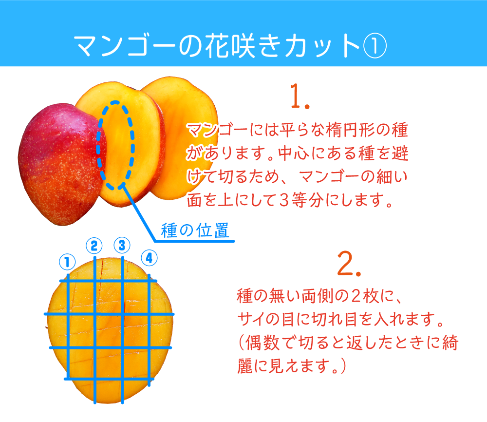 樹上完熟 燦々マンゴー 沖縄県産 良品1kg 農家漁師から産地直送の通販 ポケットマルシェ