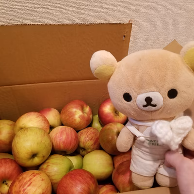 みんなの投稿の画像