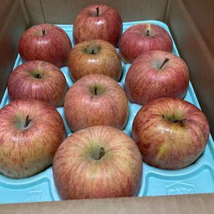 蜜入りチェック済3キロ10-13玉入農薬半減栽培樹上完熟蜜入り葉取らずサンふじ