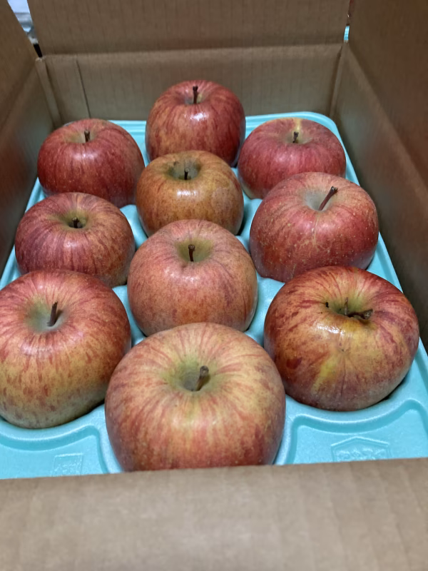 蜜入りチェック済3キロ10-13玉入農薬半減栽培樹上完熟蜜入り葉取らずサンふじ