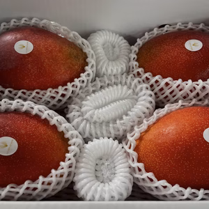 沖縄県産 マンゴー2Kg(4-6玉)化粧箱入り贈答用
