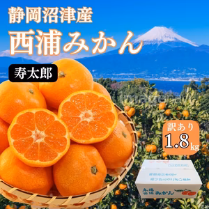 極小 寿太郎みかん 約1.8キロ みかん 訳ありみかん 西浦みかん 寿太郎