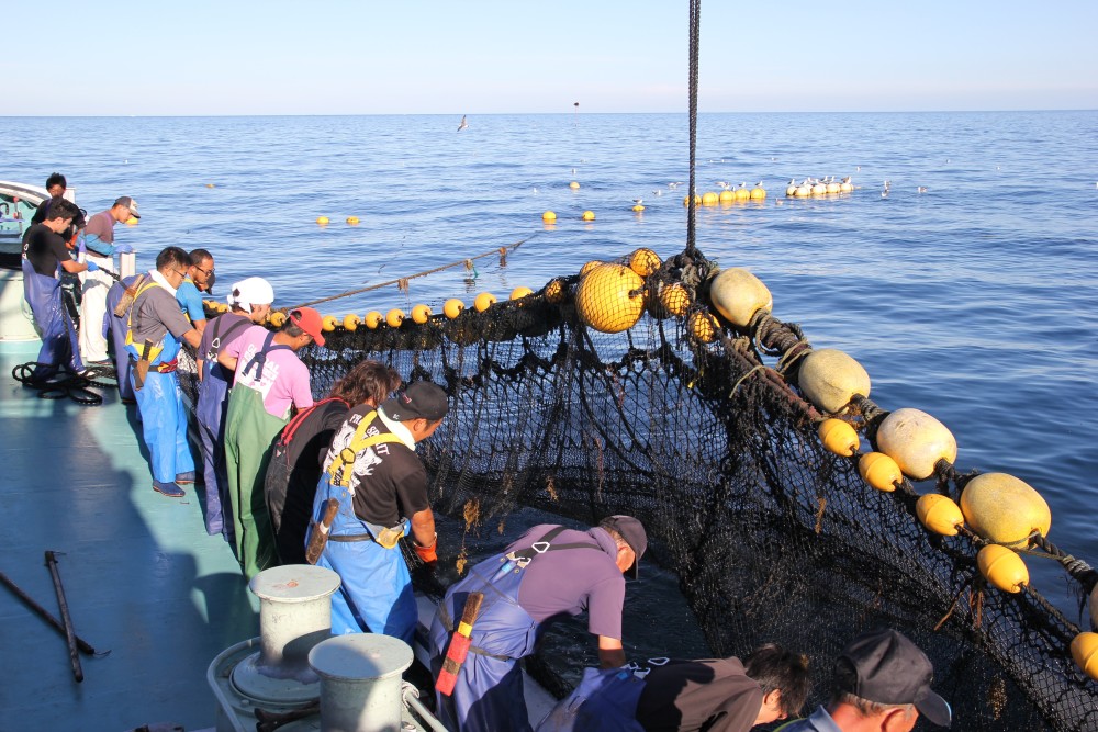 海の上で働く漁師の仕事ぶりがハンパない - 定置網漁の一部始終