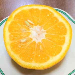 【樹熟甘夏（家庭用）】 香りがよくスッキリした甘さと独特の苦味が魅力