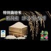 【新米！】令和5年 新潟産 特別栽培米コシヒカリ【農薬7割減】