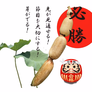 先が見通せる！芽が出る！必勝れんこんとお得なパウダーセット