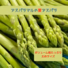 ＜長野県産＞夏アスパラガス☆太めで食べ応えあり‼