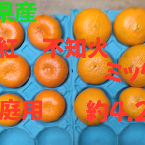 タイムセール　静岡県産　麗紅、不知火　家庭用　約4.2㎏