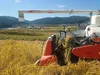伊東農園のコシヒカリ:新野高原で育てた味,香りが良いお米です。