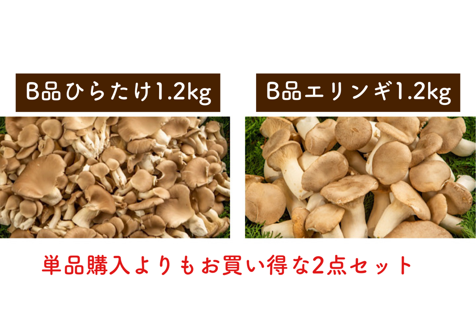 お得なセット エリンギ1.2kgとひらたけ1.2kg - 野菜