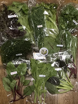 みんなの投稿の画像