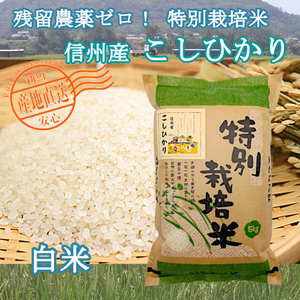 【セット商品】《白米》残留農薬不検出5㎏+ぷちぷち！もち麦1㎏×3袋
