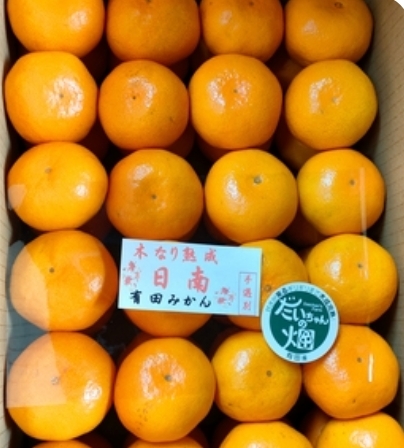 YN26の産直通販・お取り寄せ商品｜ポケットマルシェ｜産地直送で旬の