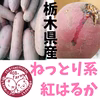 【初出品記念♪】ねっとり系紅はるか　さつまいも　サツマイモ　薩摩芋　とちいもくん