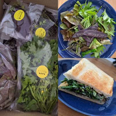 みんなの投稿の画像