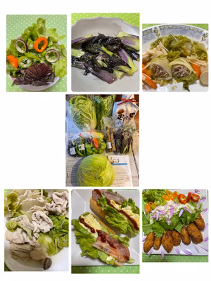 みんなの投稿の画像