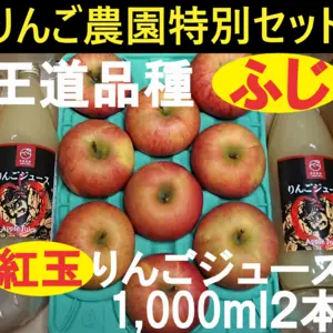 樹上完熟　青森県産　ふじ　ストレートりんごジュース2本　セット　5㎏箱　農家直送