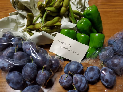 みんなの投稿の画像