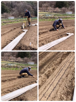 みんなの投稿の画像