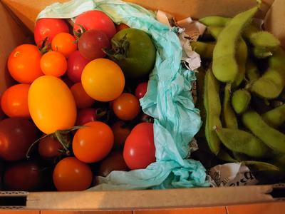 みんなの投稿の画像