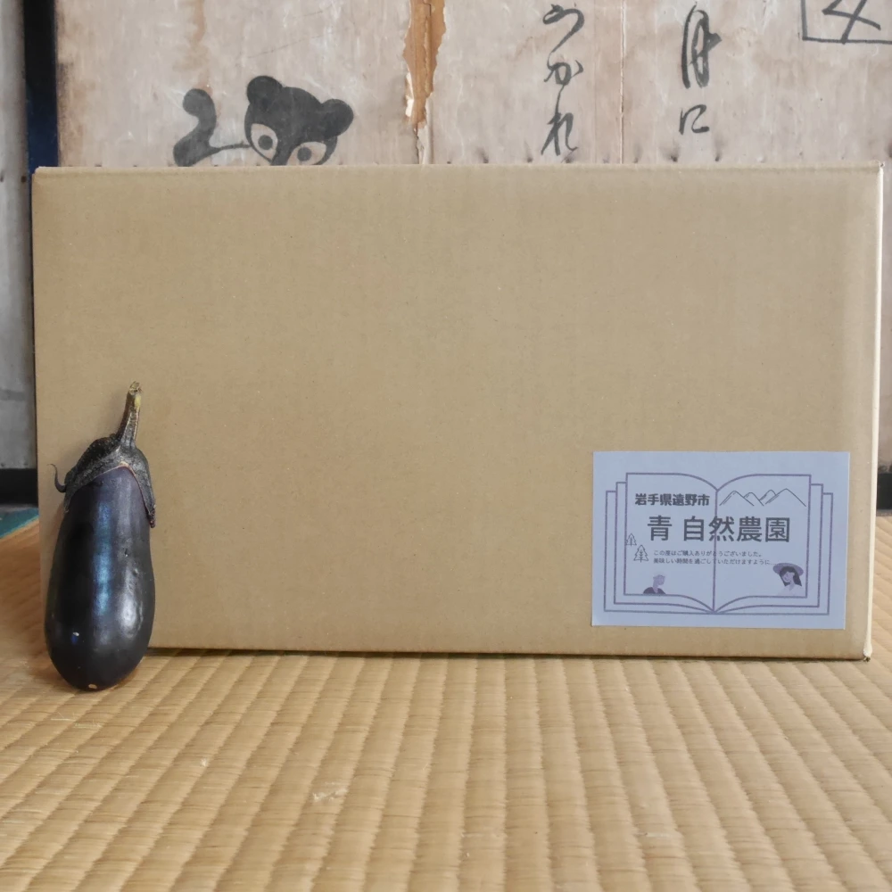 [100冷]80サイズの2倍量 しっかり濃い味!野菜セット [農薬・肥料不使用]