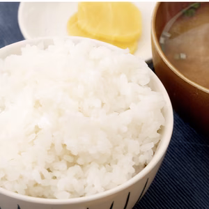 [令和5年産]球磨川急流米®️ 精米 10㎏・20㎏