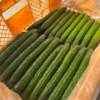 【篤壌野菜】胡瓜と茄子のセット　５ｋｇ
