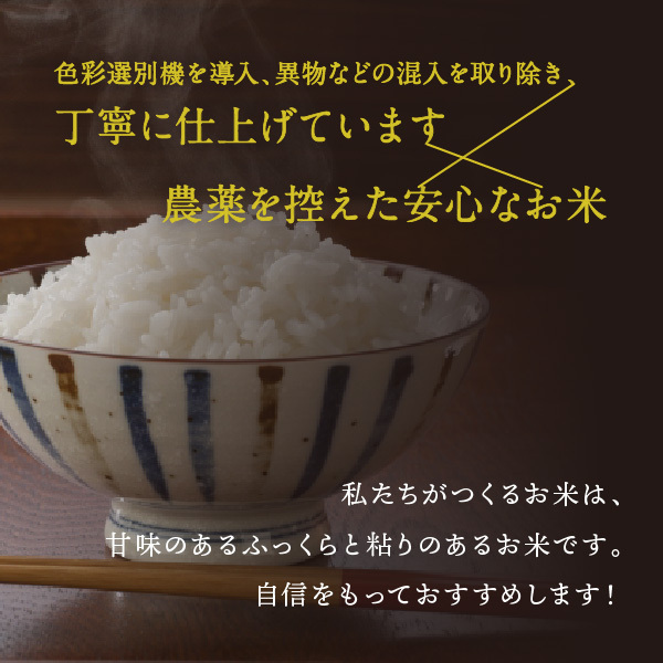 お米30キロ ☆令和5年収穫 高品質な米 大袋☆ 古米