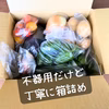 無農薬で無肥料な岡本野菜のやさしい味　お試しサイズ