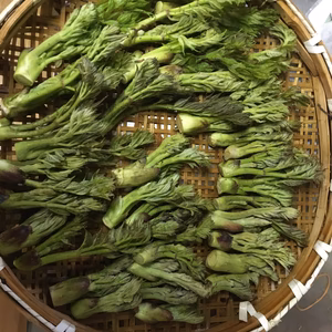 タラの芽(サイズ不揃い)