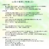 《予約受付》天然山菜5種以上詰合せB 800~900g以上 山形産