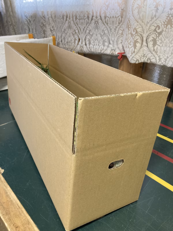 スクスクと育ちすぎで規格外