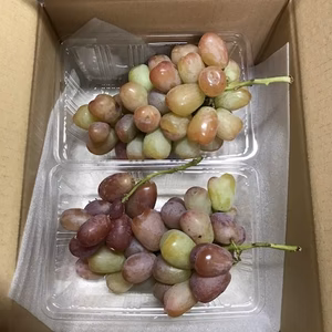 みかん山のマイハート（葡萄）