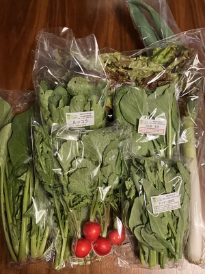 みんなの投稿の画像