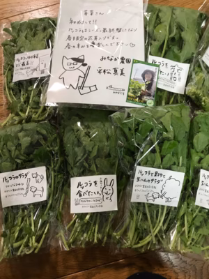 みんなの投稿の画像