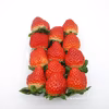甘味と旨味がオススメのいちご②（中粒中心）