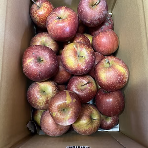 小玉傷物企画☆サンふじバラ詰めお買い得☆ご家庭用