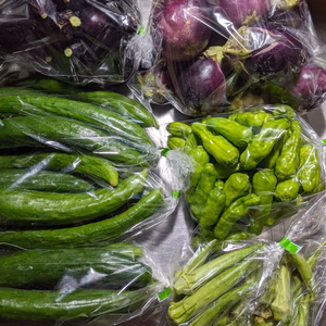 ナス、キュウリ、シシトウ、オクラ