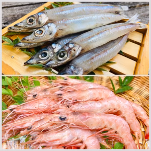 練炭を囲み至福のひと時を。トロッと甘い珊瑚色したトロエビ中とメギス丸干し