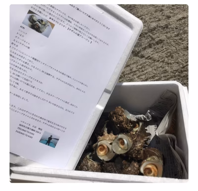 みんなの投稿の画像