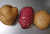 美味しいジャガイモ✨3種類✨食べ比べセット！