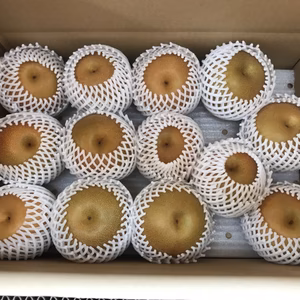加工用　豊水　5kg用箱に詰め込みました！