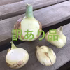 【訳あり入りでお買い得!】淡路島新玉ねぎ 