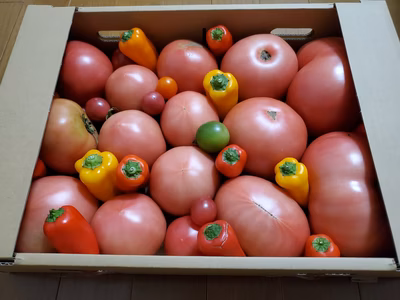 みんなの投稿の画像